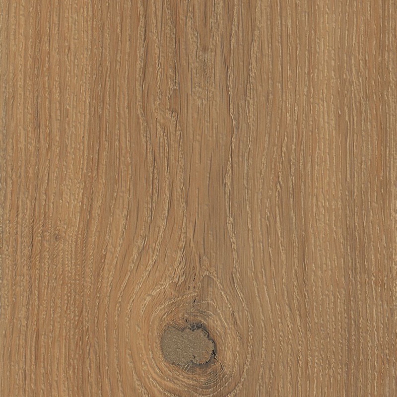 Cinnamon