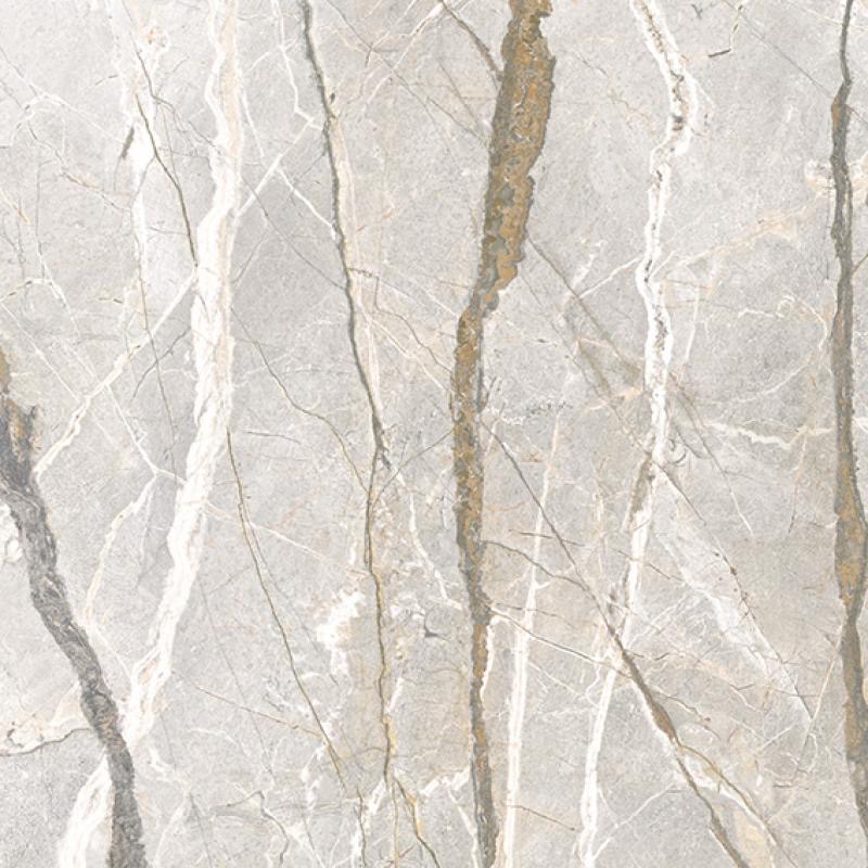 Silver Roots
