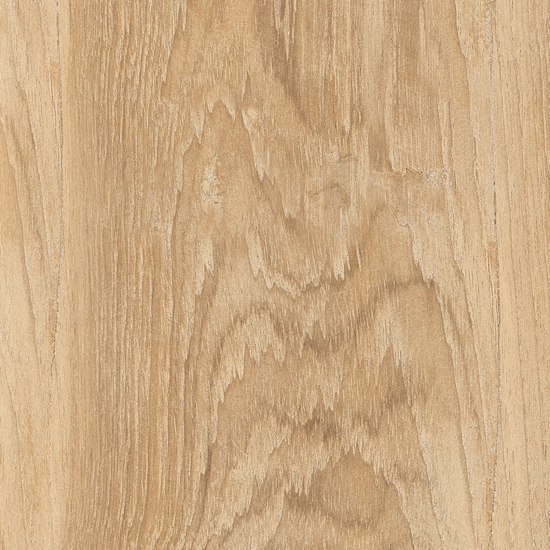 Miele