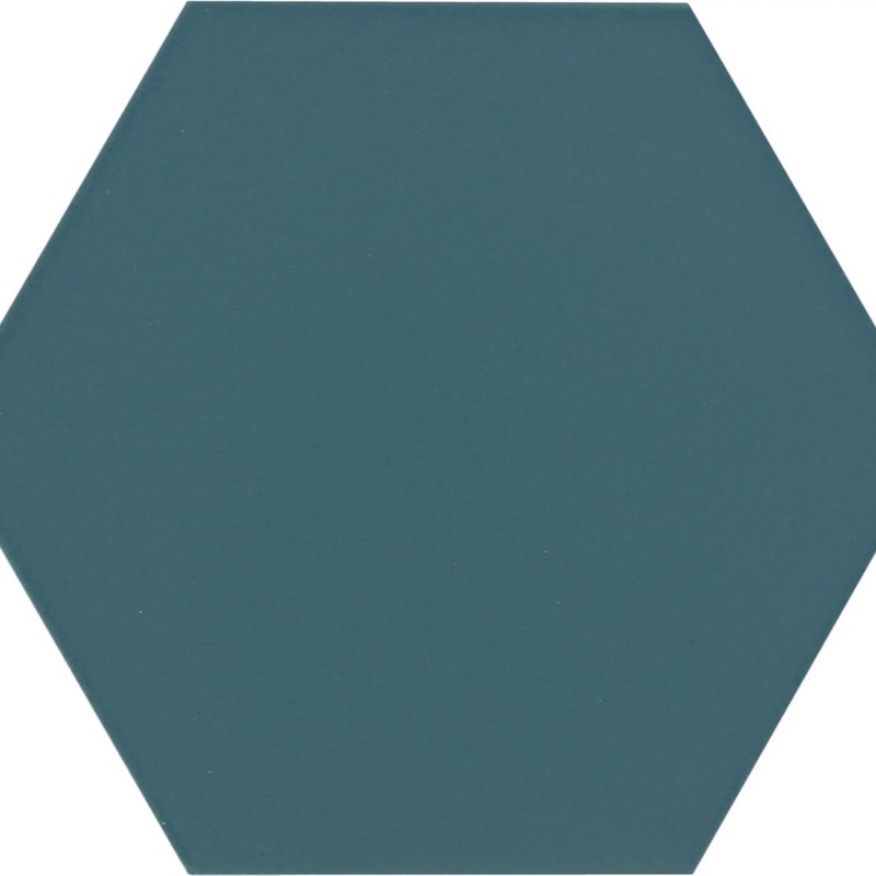 Indian Teal