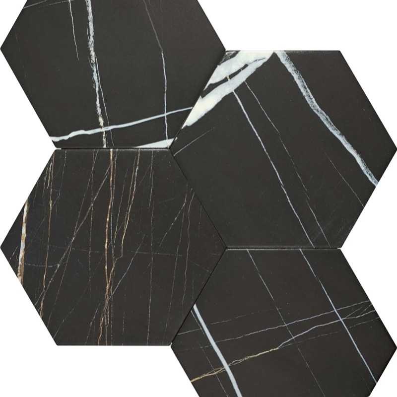 Sahara Noir