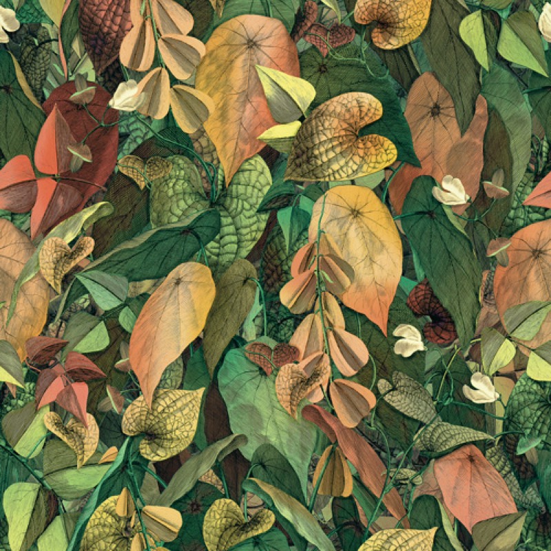 Foliage