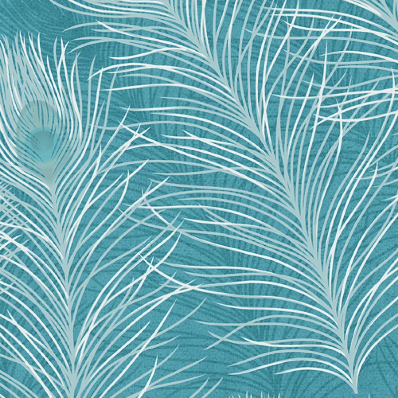Plume