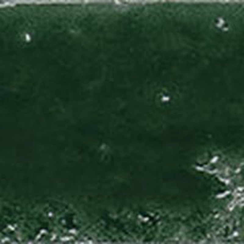 Basil Green